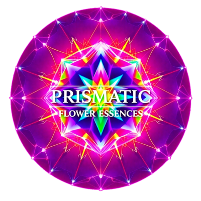 Prismatic Flower Essences