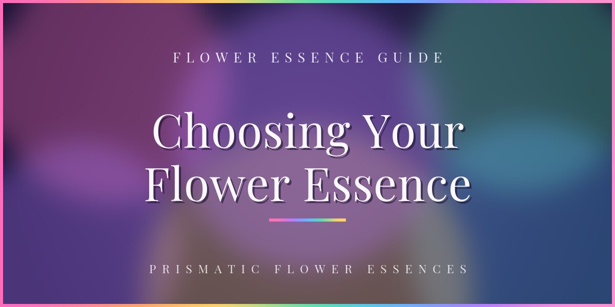 A purple and green gradient title card reading Choosing Your Flower Essence, Flower Essence Guide, Prismatic Flower Essences