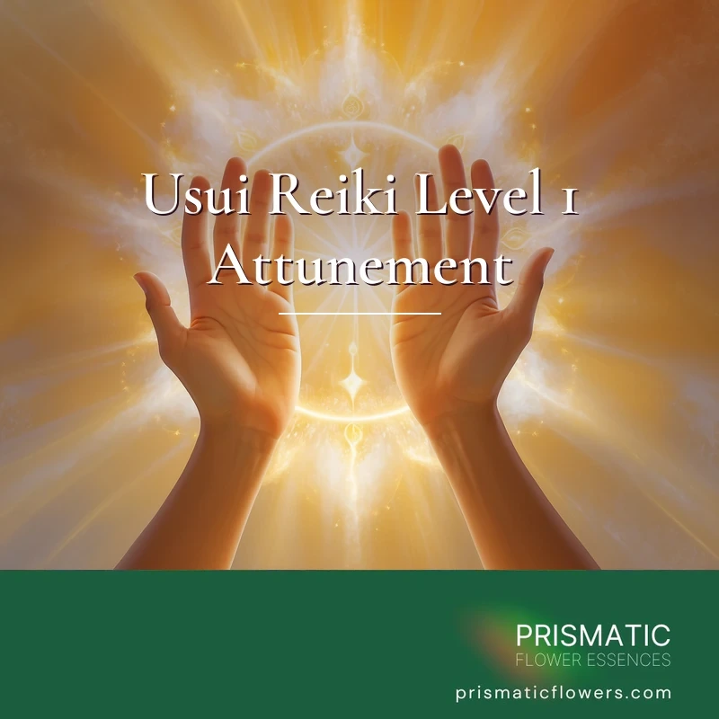 Usui Reiki Level 1 Attunement Course