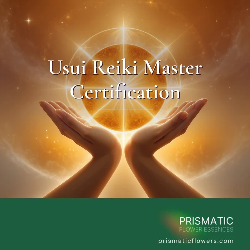 Usui Reiki Master Certification Attunement Course: Complete Level 3 Training